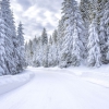 Tipps für die Einwinterung Ihres geliebten Can-Am: Auf in den Winterschlaf!